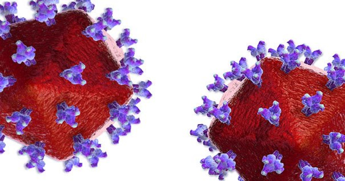 Antibody suppresses HIV for four months