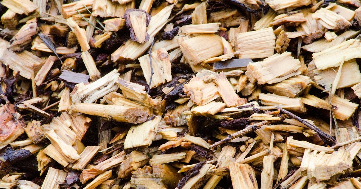 Converting Woodchips Into Pharmaceutical Ingredients