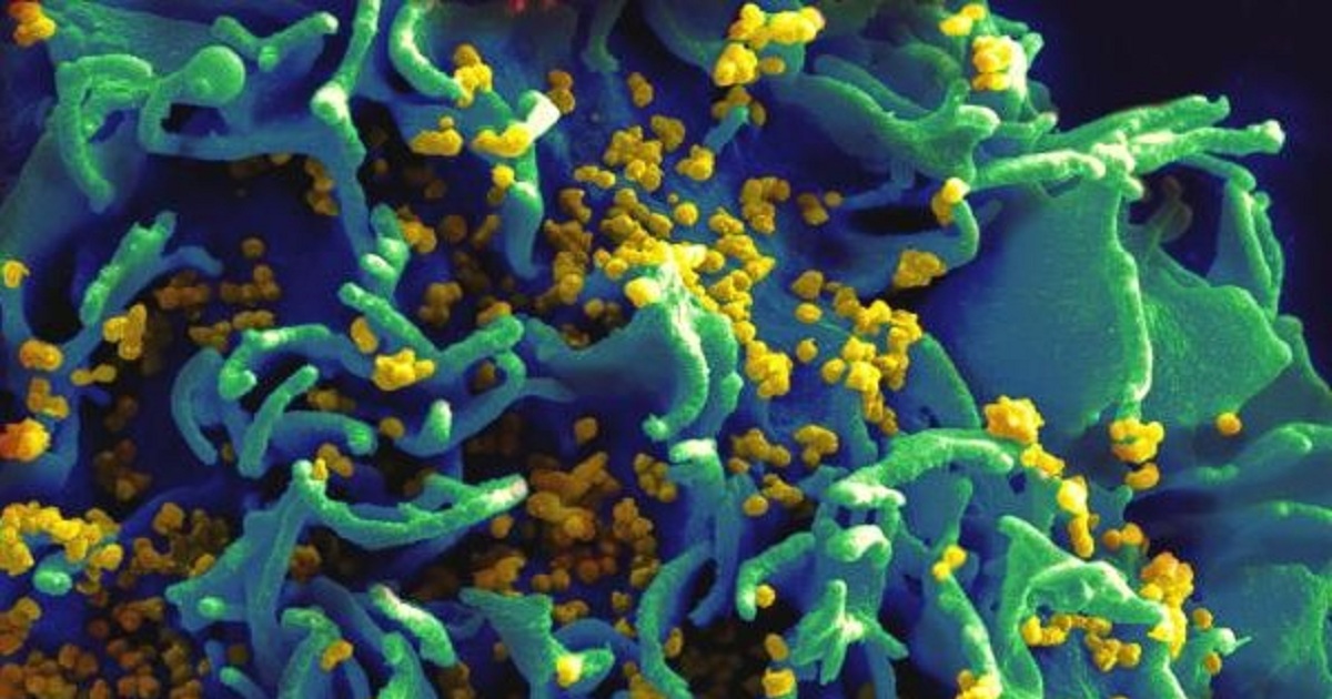 ViiV unveils emotional challenges related to HIV ART treatment