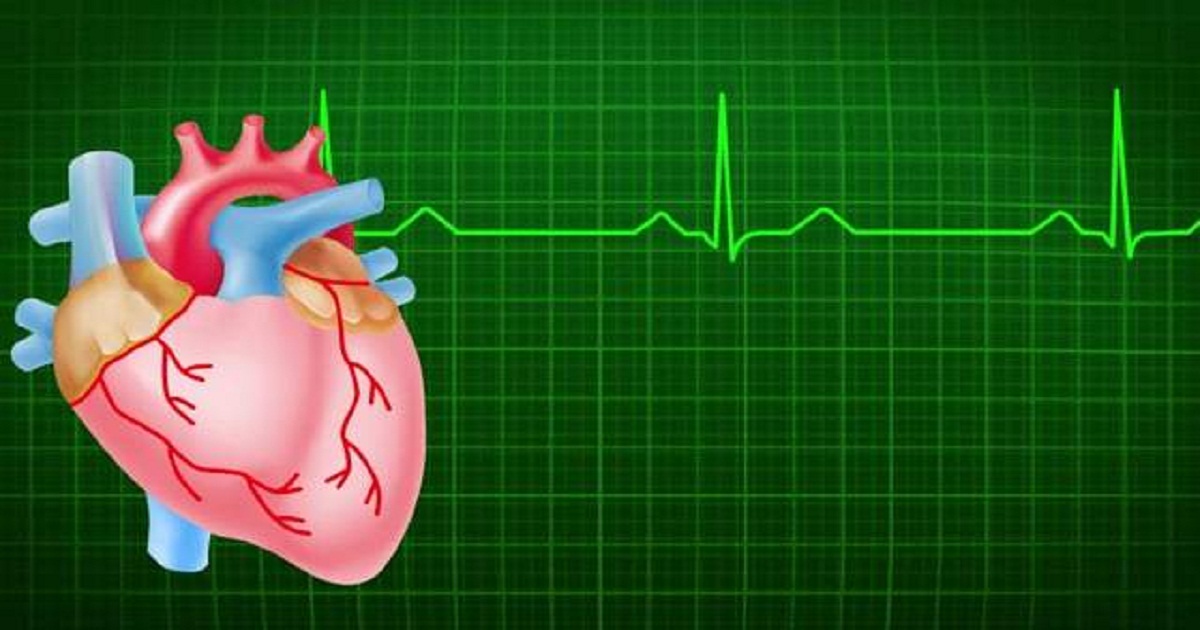 Researchers in the US develop computer model that predicts how drugs affect heart rhythm